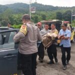 ffe98caa-e3f8-49bb-93f3-bcff39a8ba2b_11zon