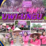 201ddb9a-05ce-4e97-82ca-ac0ff4cf9b73_11zon