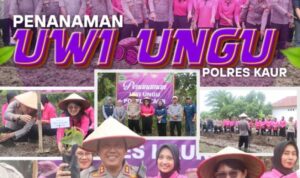 201ddb9a-05ce-4e97-82ca-ac0ff4cf9b73_11zon