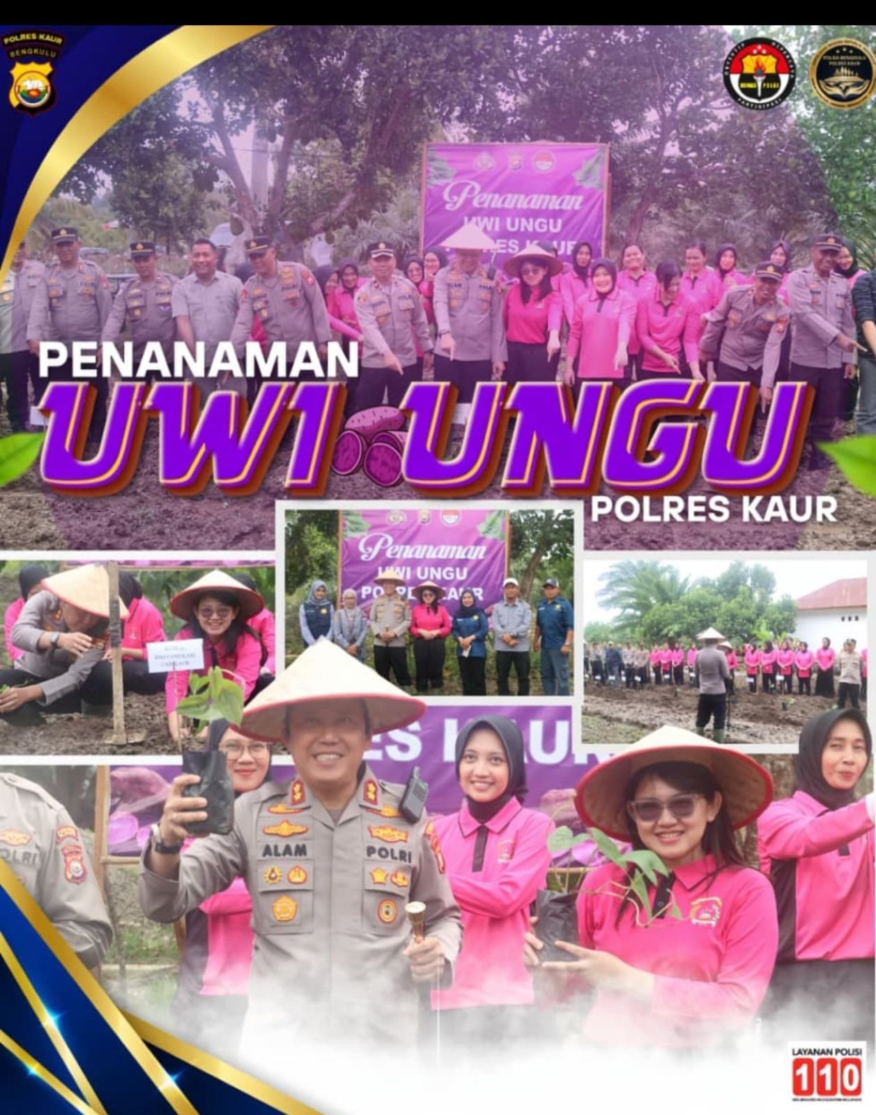 Kembangkan Uwi Ungu dilahan BPP, Polres Kaur Dukung Ketahanan Pangan Nasional