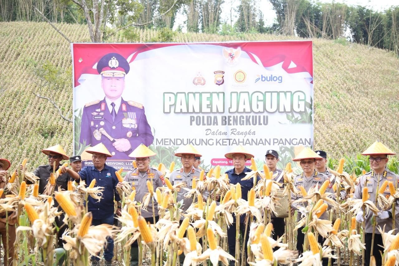 Kapolda Bengkulu Pimpin Panen Raya Jagung di Kepahiang, Perkuat Komitmen Ketahanan Pangan